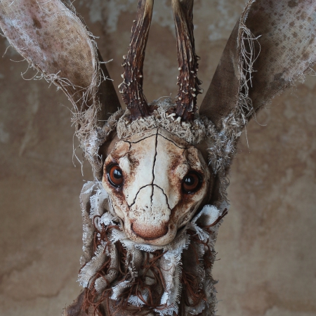 Gustaw Jackalope